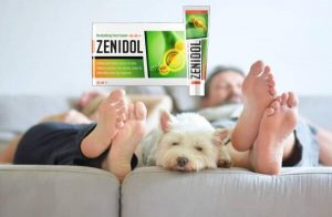 Zenidol Κρέμα για μύκητα και πόδια προβλήματα – Κριτικές, Τιμή στο φαρμακείο, Συστατικά