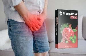 Prostamin Forte Ανασκόπηση – Συμπλήρωμα διατροφής υποστήριξης προστάτη με εκχύλισμα Gotu Kola για έλεγχο της ουροδόχου κύστης, πλήρη προστάτη και σεξουαλική υγεία