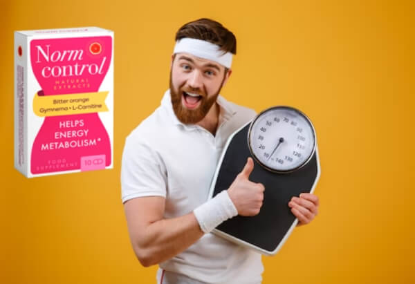 Οδηγίες χρήσης του Normcontrol